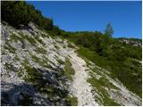 Planina Ravne - Kocbekov dom na Korošici